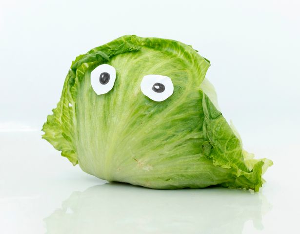 Lettuce with eyes, portraying former U.K. Prime Minister Liz Truss as a "head of lettuce."